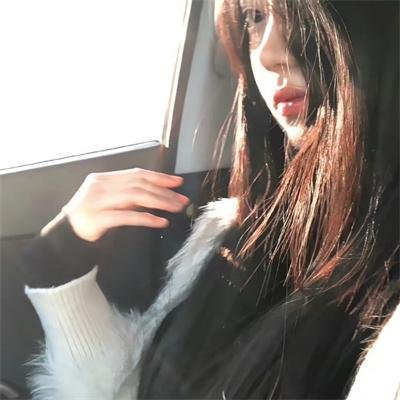 政宗君的复仇